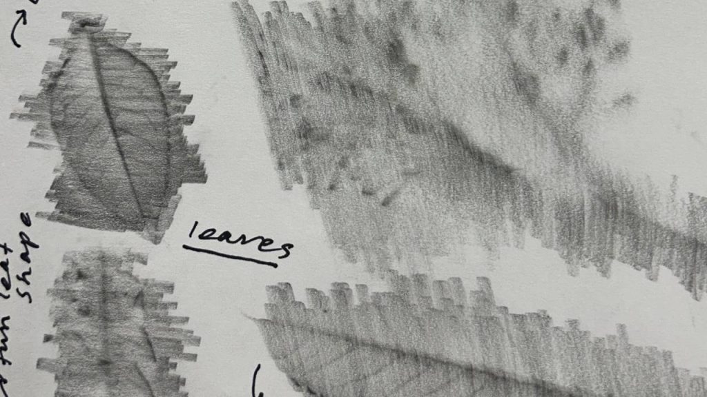 A pencil rubbing on paper reveals textures and outlines of various leaves